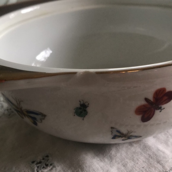 Vintage covered casserole dish with strawberry vine, butterfly and ladybugs. - Picture 7 of 8